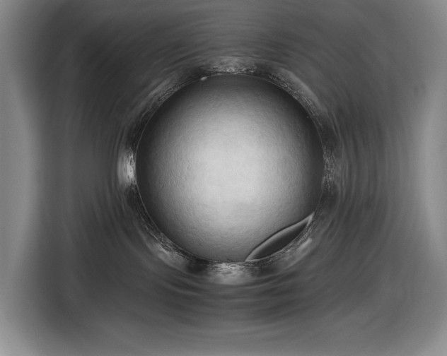 X0000116680095200912211632