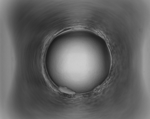 X0000116680097200912211632