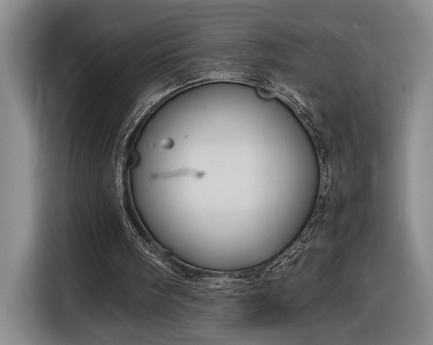 X0000116680098200912211632