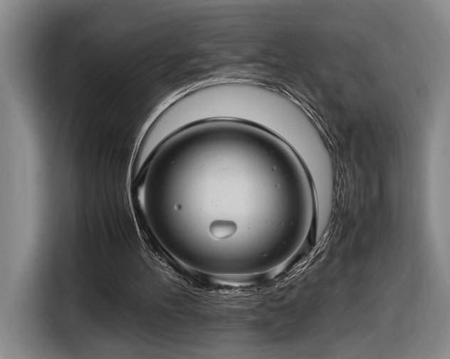 X0000116680100200912211632