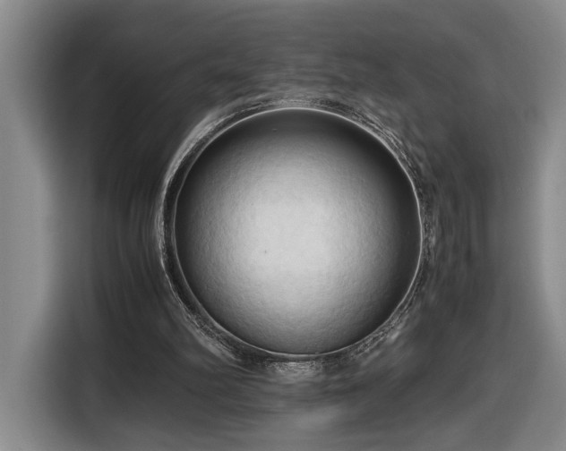 X0000116680102200912211631