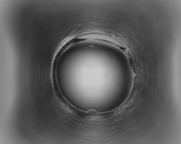 X0000116680104200912211631