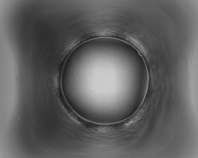 X0000116680105200912211631