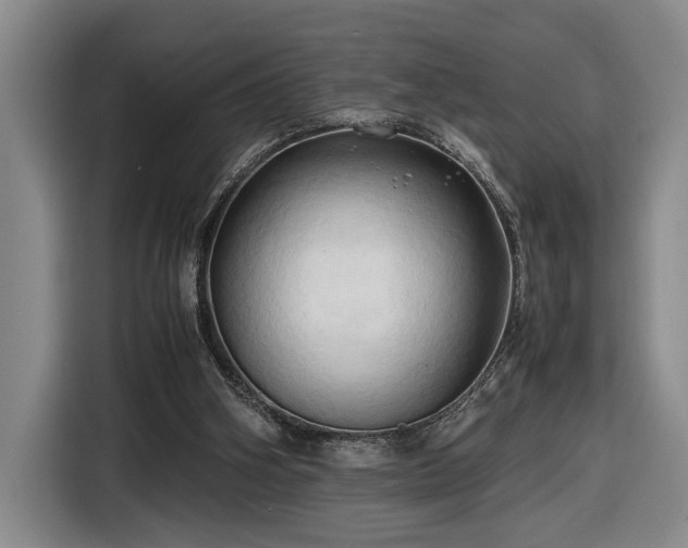 X0000116680106200912211631