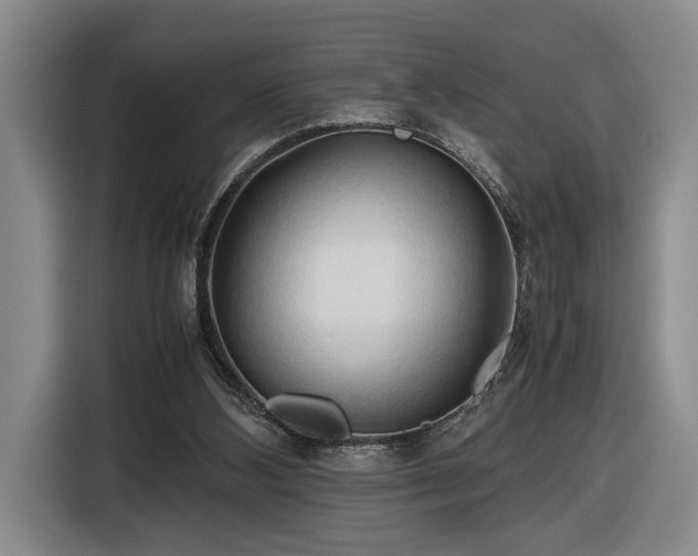 X0000116680108200912211631