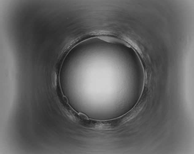 X0000116680109200912211631