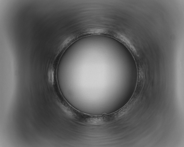 X0000116680110200912211631