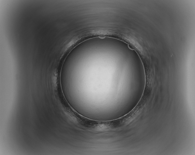 X0000116680111200912211631