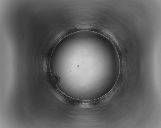 X0000116680114200912211631