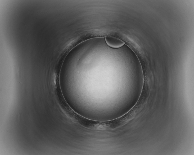 X0000116680115200912211631