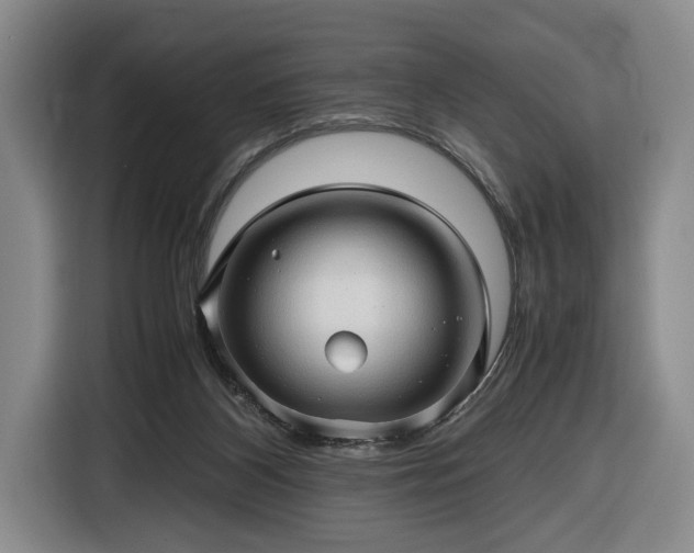 X0000116680116200912211631