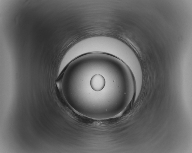 X0000116680117200912211631