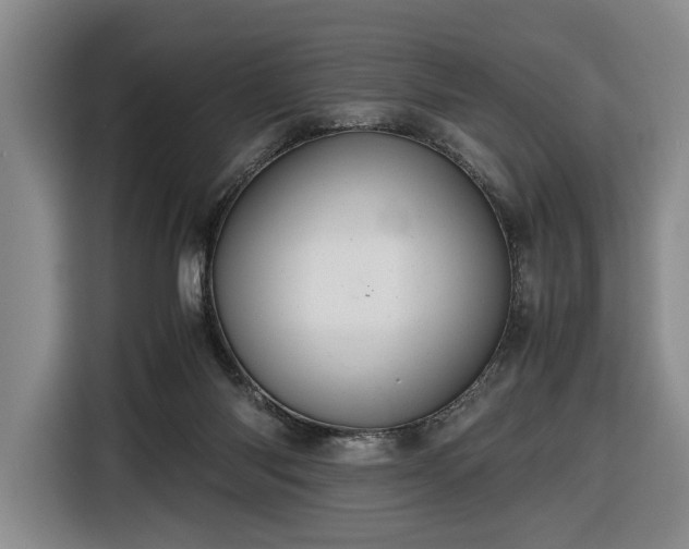 X0000116680118200912211631