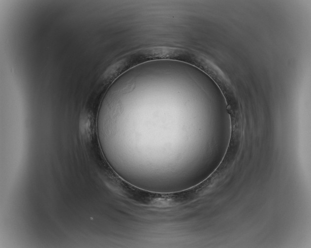 X0000116680119200912211631