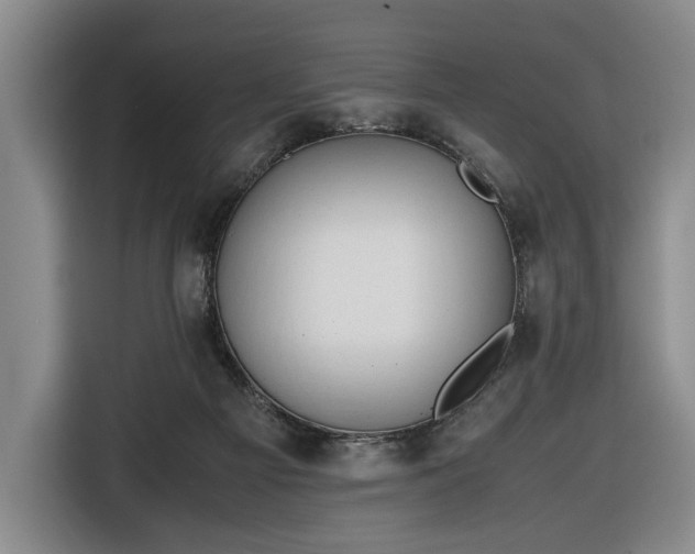 X0000116680121200912211631