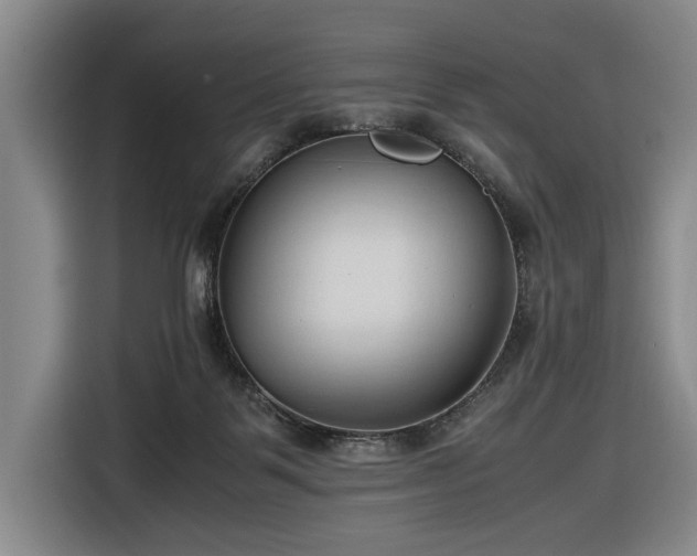 X0000116680123200912211631