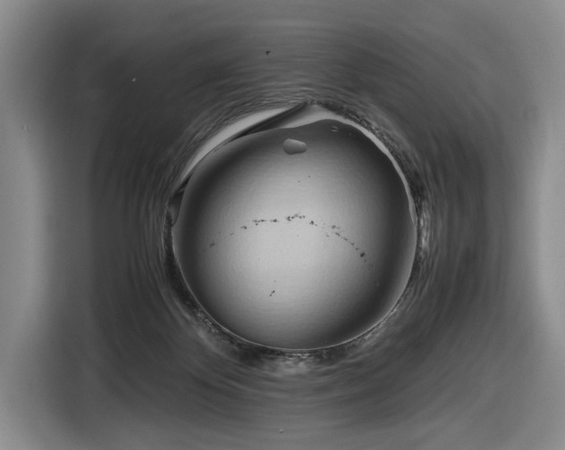 X0000116680124200912211631