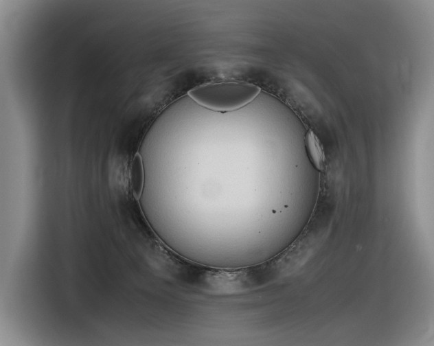 X0000116680129200912211631