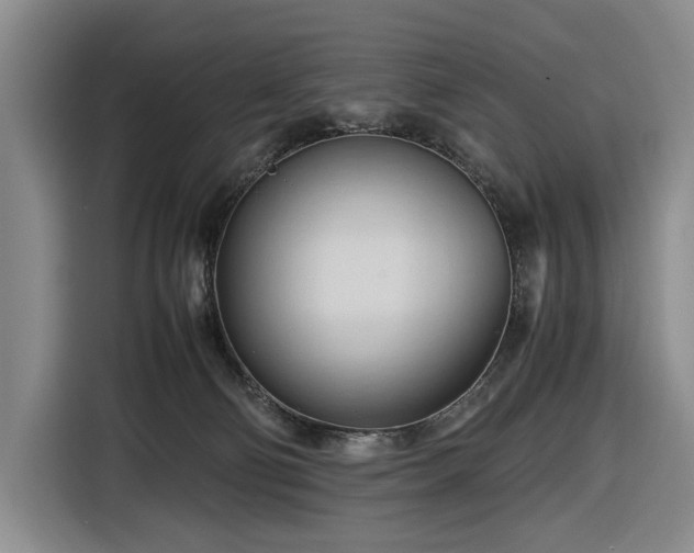 X0000116680130200912211631