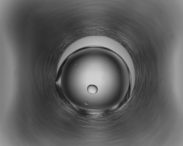 X0000116680132200912211631