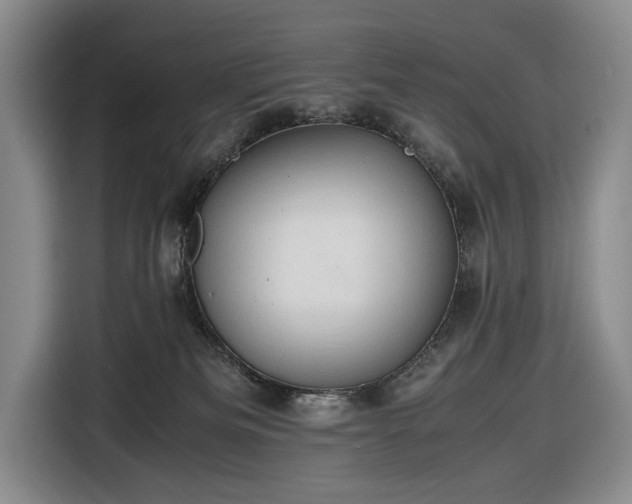 X0000116680133200912211631