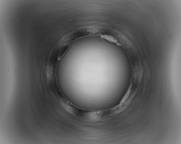 X0000116680136200912211631