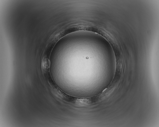 X0000116680137200912211631