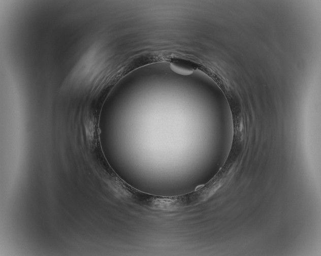 X0000116680139200912211631