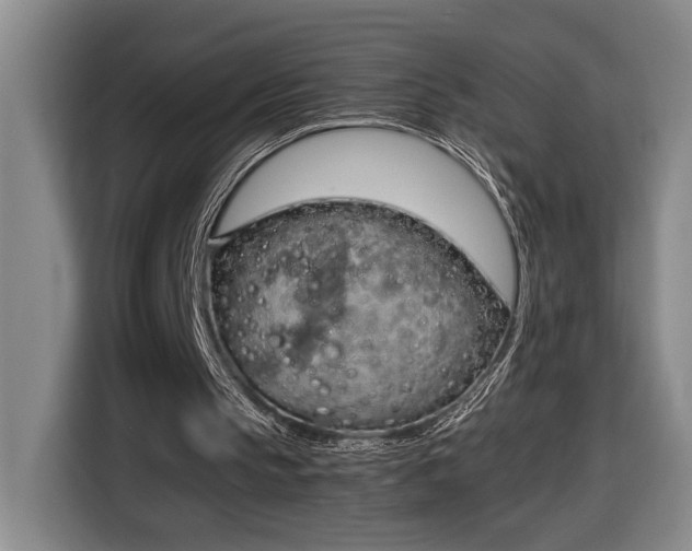 X0000116680145200912211630