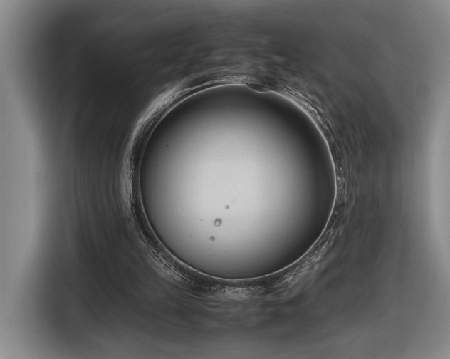 X0000116680149200912211630