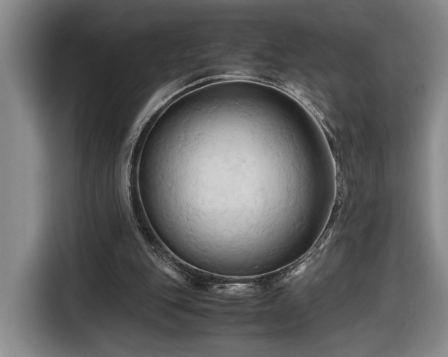 X0000116680151200912211630