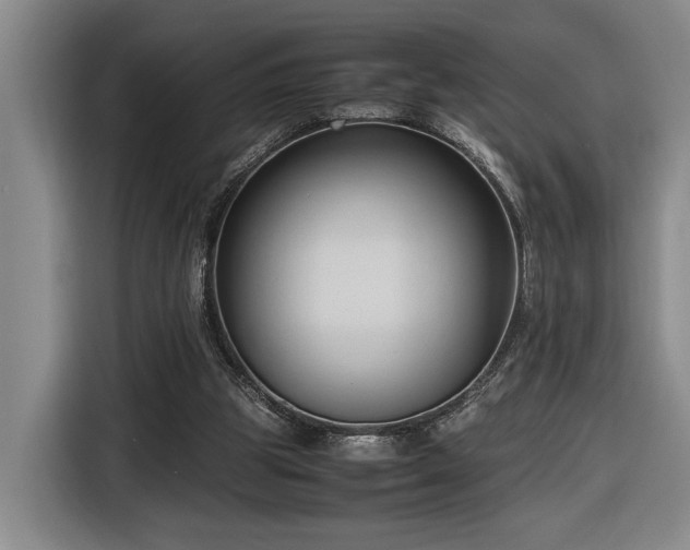 X0000116680153200912211630