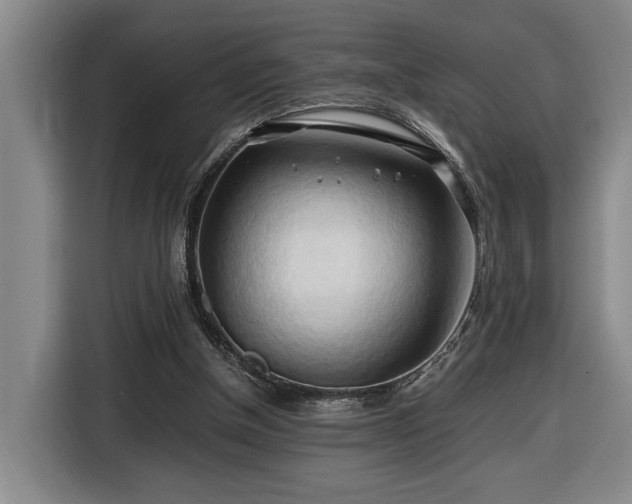 X0000116680154200912211630