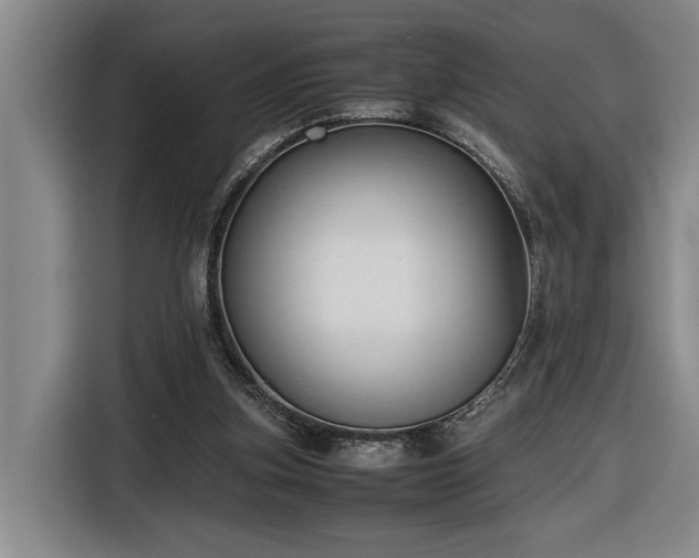 X0000116680155200912211630