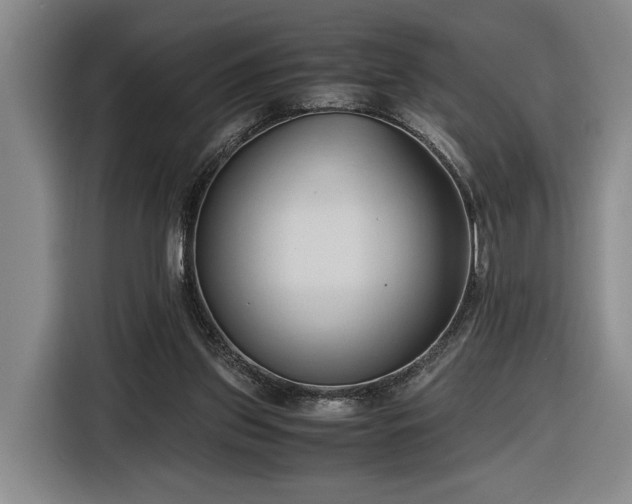 X0000116680157200912211630