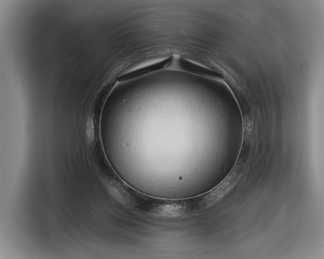 X0000116680158200912211631