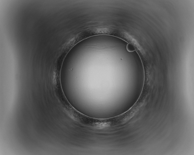 X0000116680161200912211631