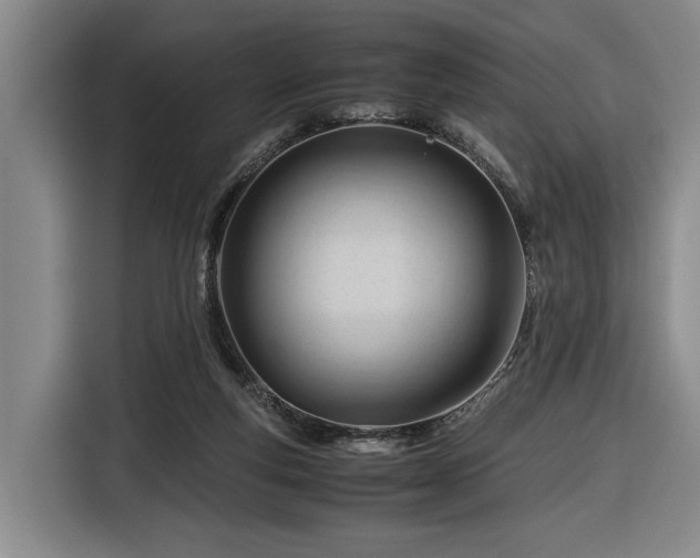 X0000116680163200912211631