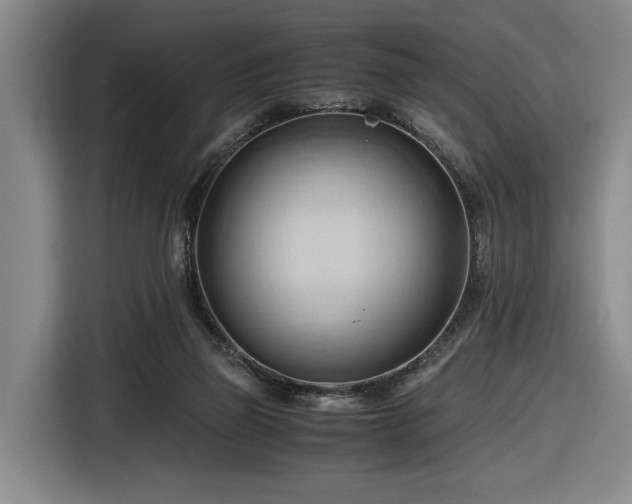 X0000116680165200912211631