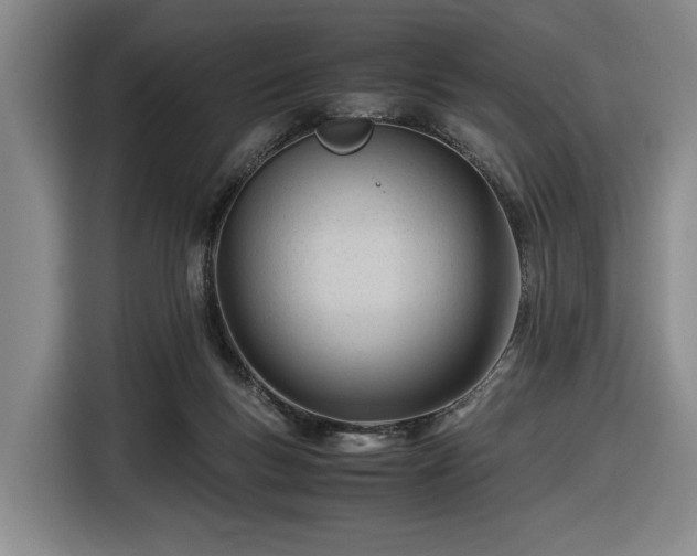 X0000116680167200912211631