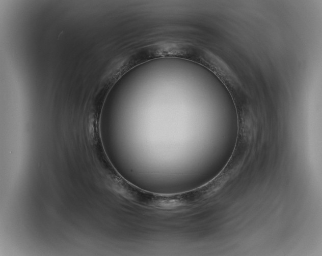 X0000116680169200912211631