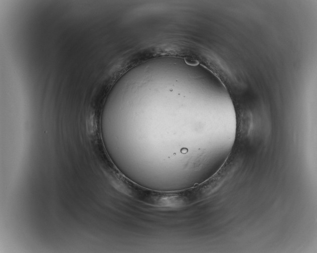 X0000116680173200912211631