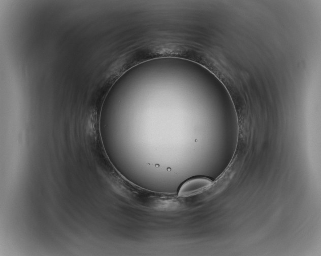 X0000116680175200912211631