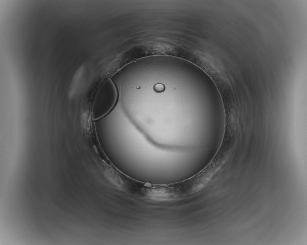 X0000116680177200912211631