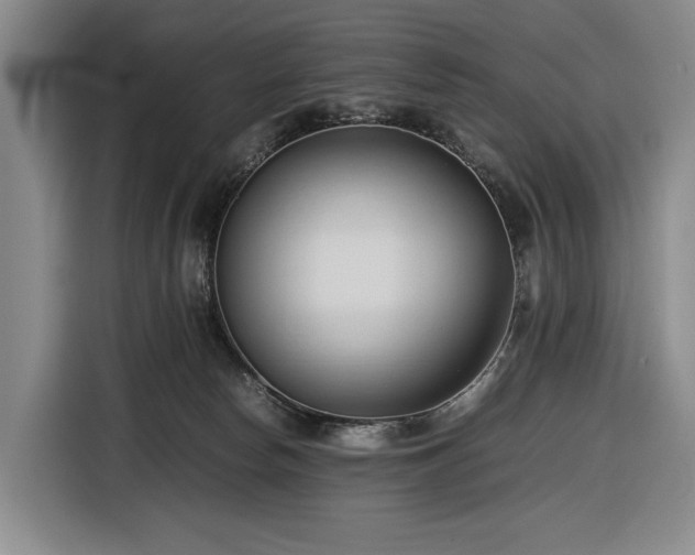 X0000116680178200912211631