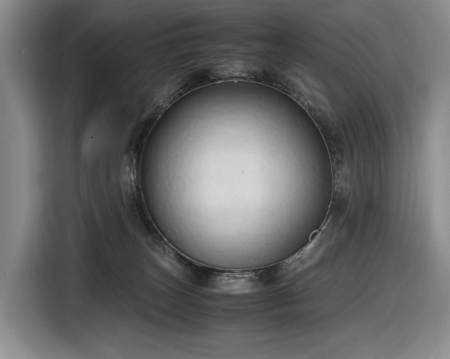 X0000116680179200912211631