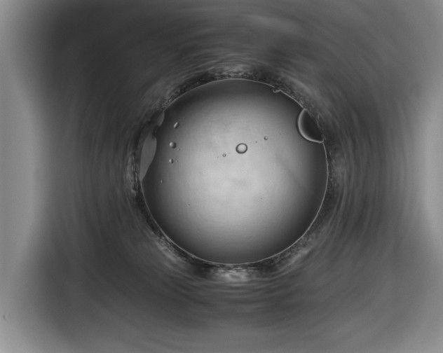 X0000116680181200912211631