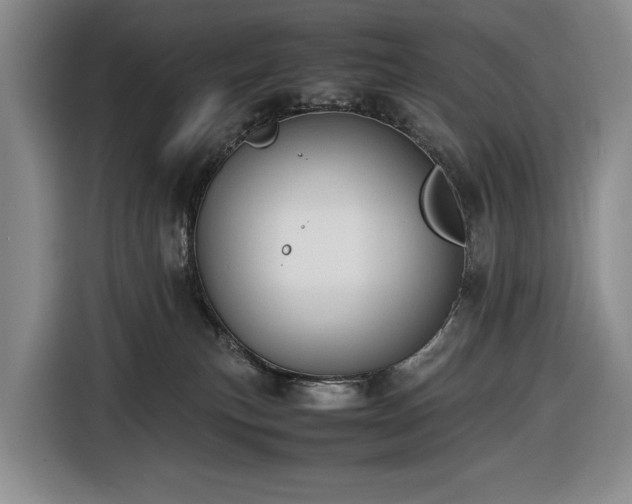 X0000116680183200912211631