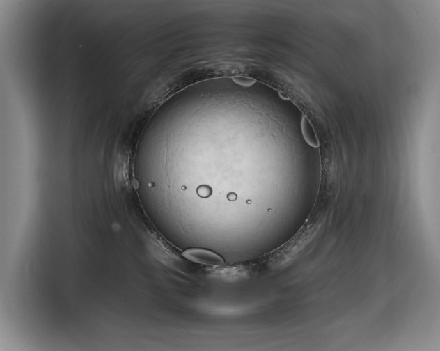 X0000116680185200912211631