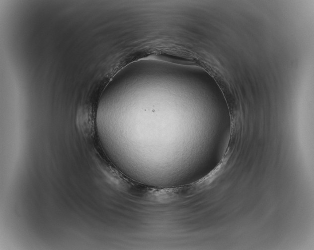 X0000116680186200912211631